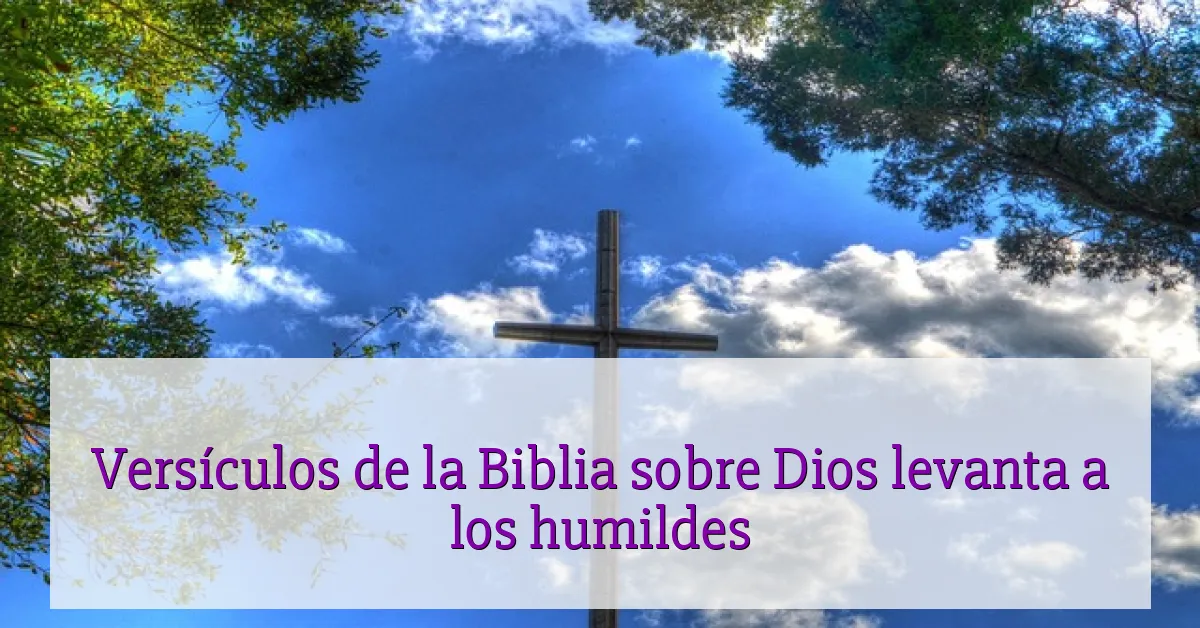 Versículos de la Biblia sobre Dios levanta a los humildes