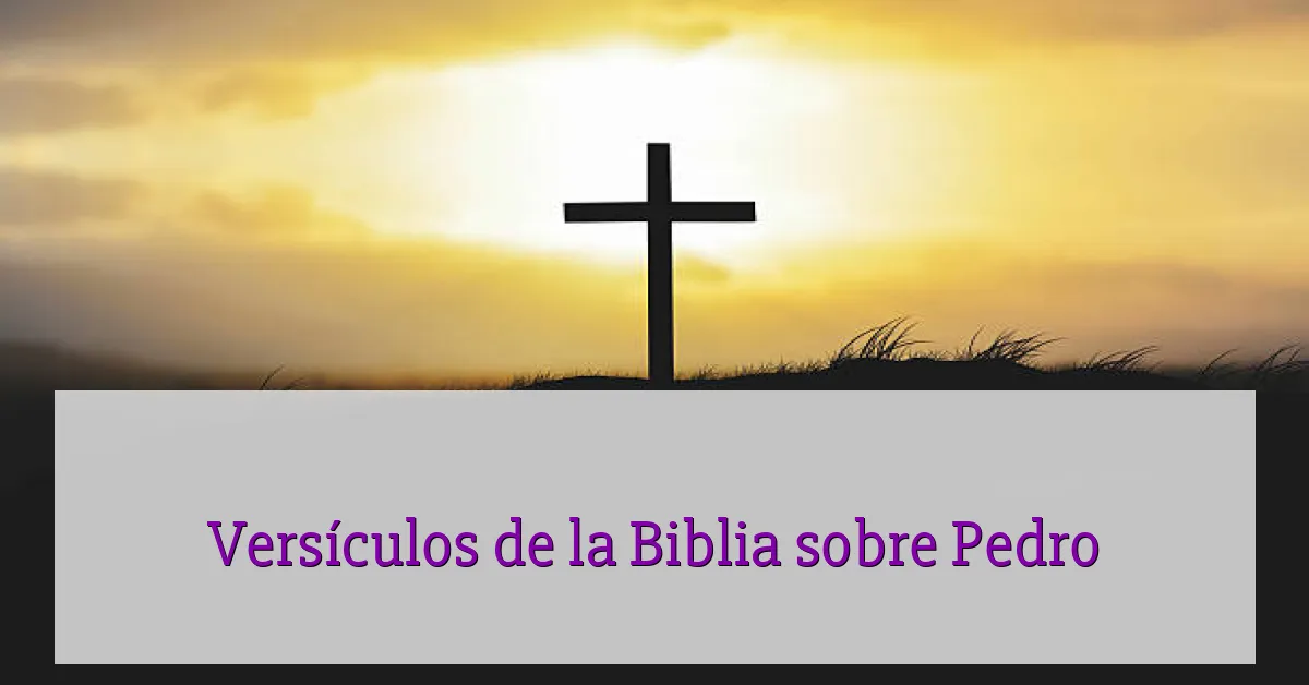 Versículos de la Biblia sobre Pedro