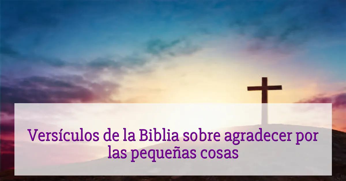 Versículos de la Biblia sobre agradecer por las pequeñas cosas