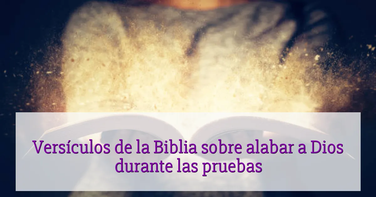 Versículos de la Biblia sobre alabar a Dios durante las pruebas