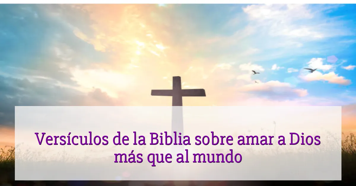 Versículos de la Biblia sobre amar a Dios más que al mundo