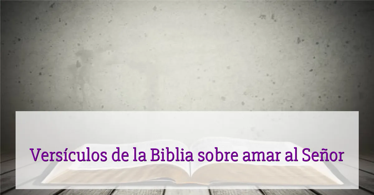 Versículos de la Biblia sobre amar al Señor