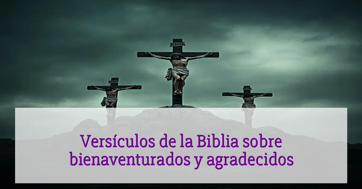 Versículos de la Biblia sobre bienaventurados y agradecidos