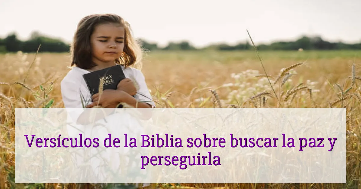 Versículos de la Biblia sobre buscar la paz y perseguirla