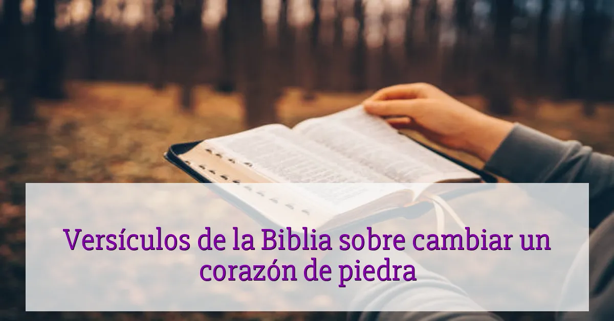 Versículos de la Biblia sobre cambiar un corazón de piedra