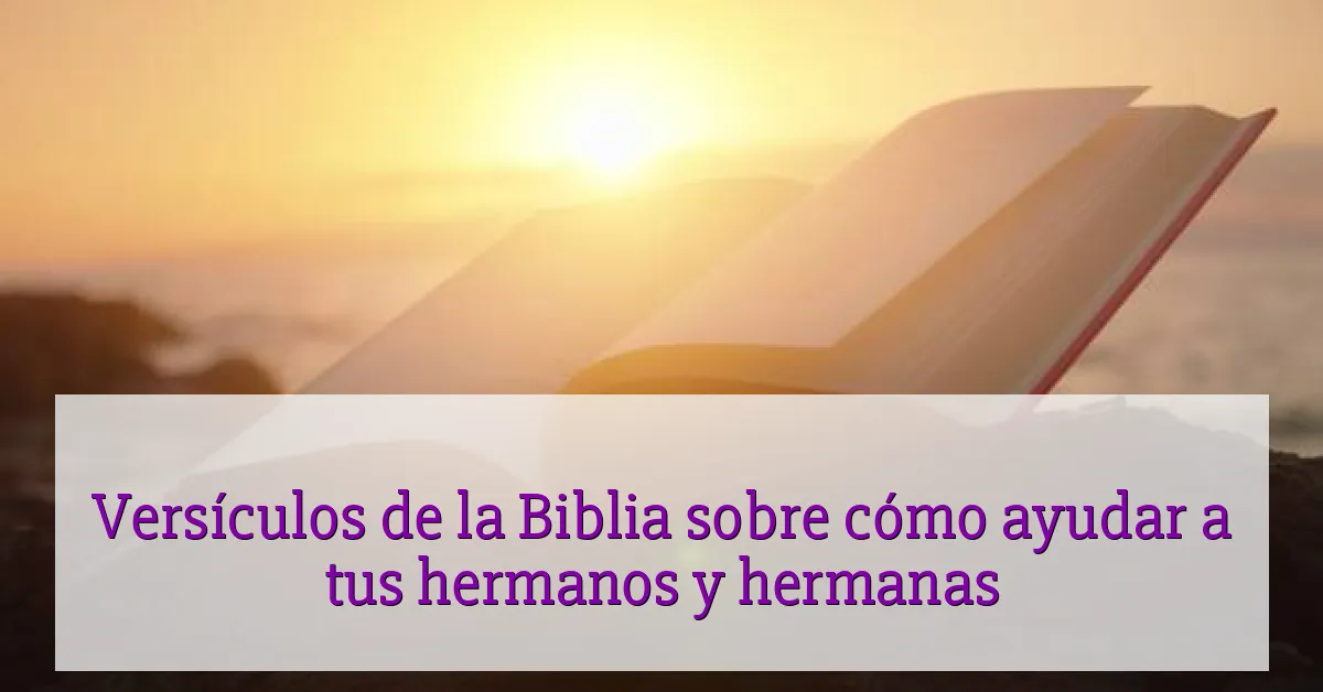 Versículos de la Biblia sobre cómo ayudar a tus hermanos y hermanas
