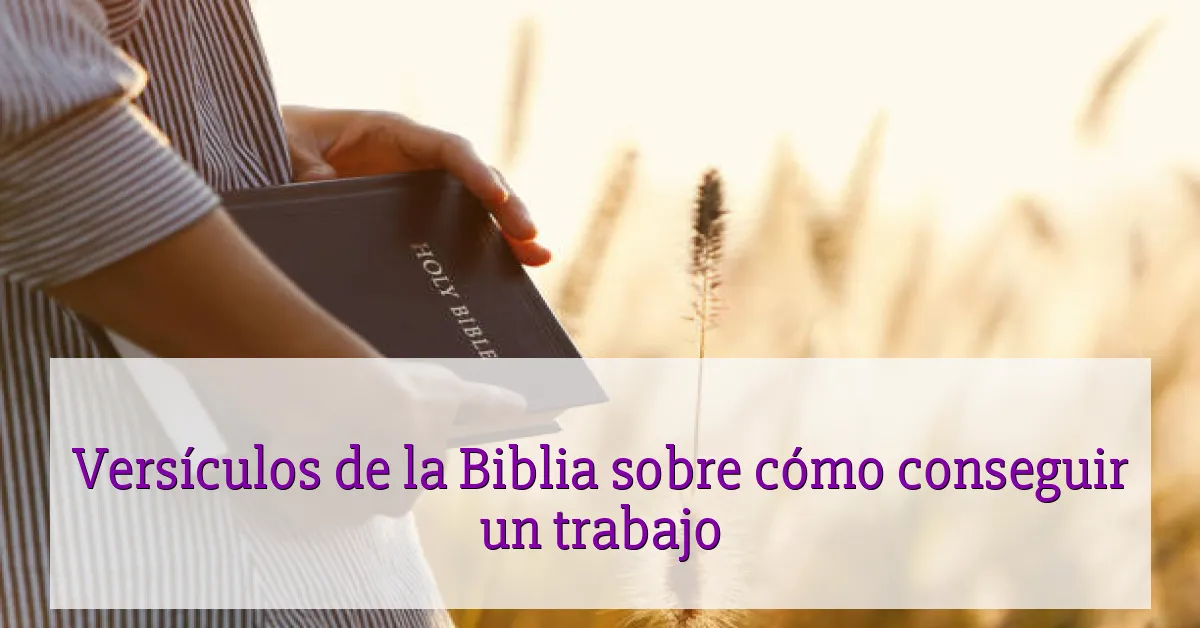 Versículos de la Biblia sobre cómo conseguir un trabajo