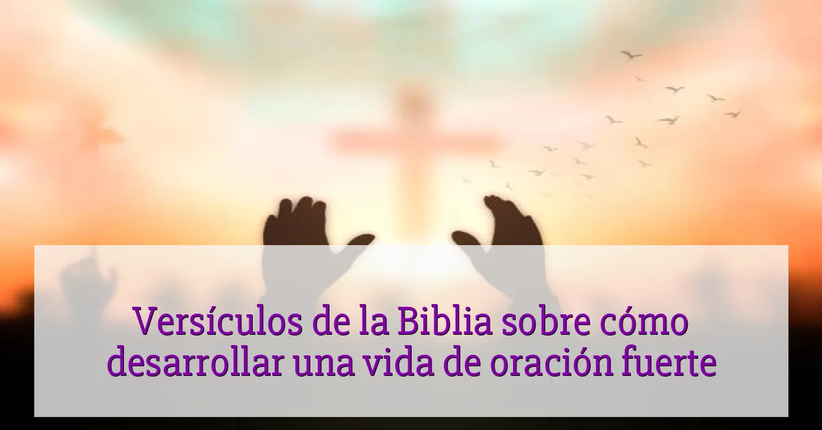 Versículos de la Biblia sobre cómo desarrollar una vida de oración fuerte