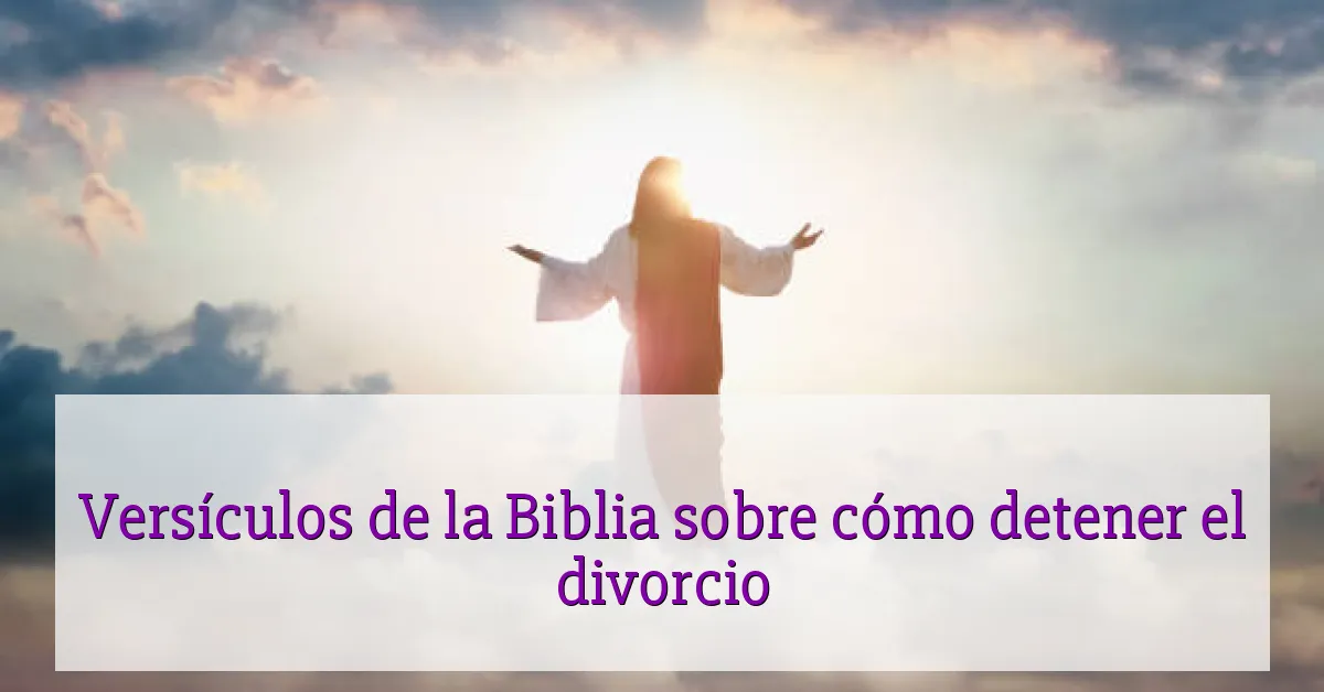 Versículos de la Biblia sobre cómo detener el divorcio