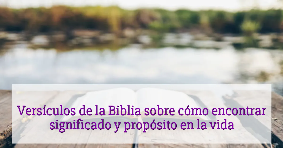 Versículos de la Biblia sobre cómo encontrar significado y propósito en la vida
