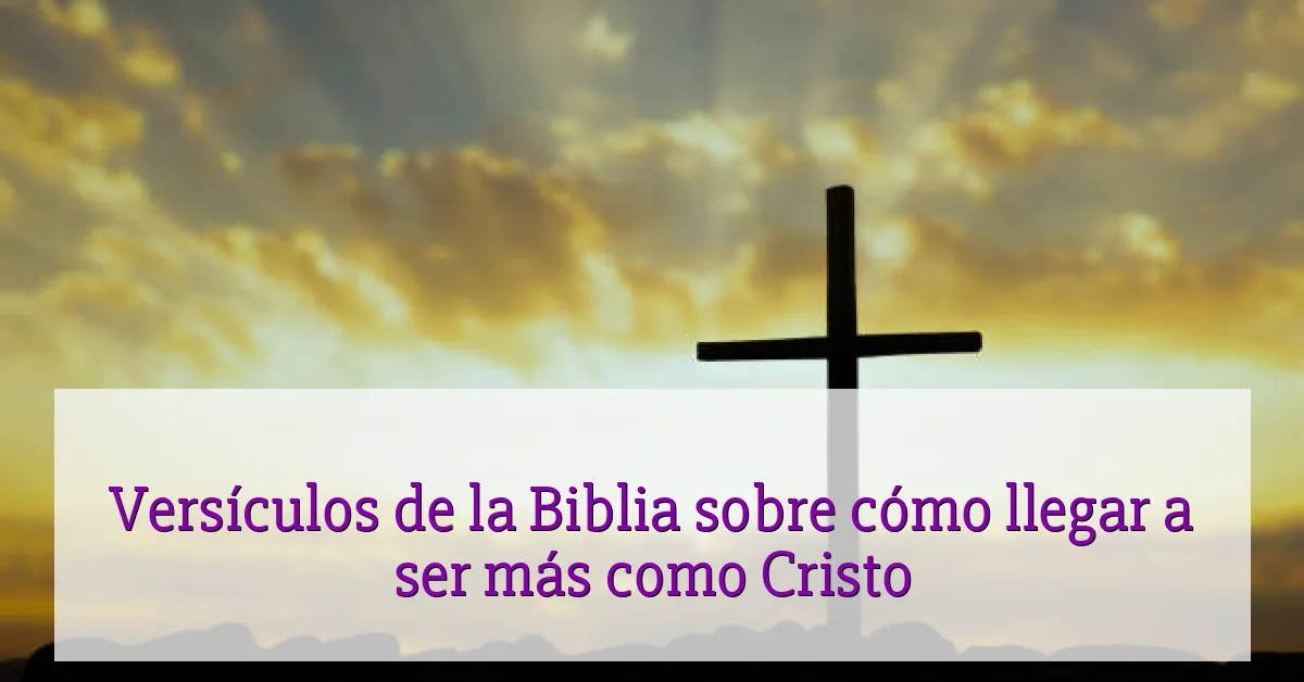 Versículos de la Biblia sobre cómo llegar a ser más como Cristo