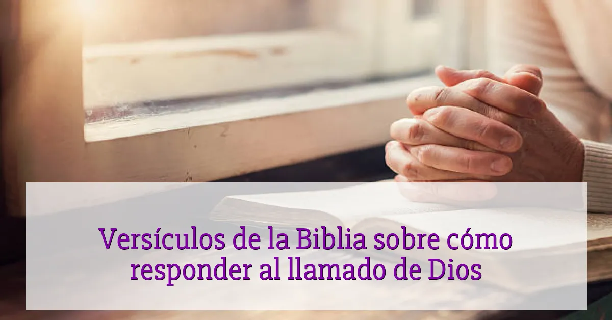 Versículos de la Biblia sobre cómo responder al llamado de Dios