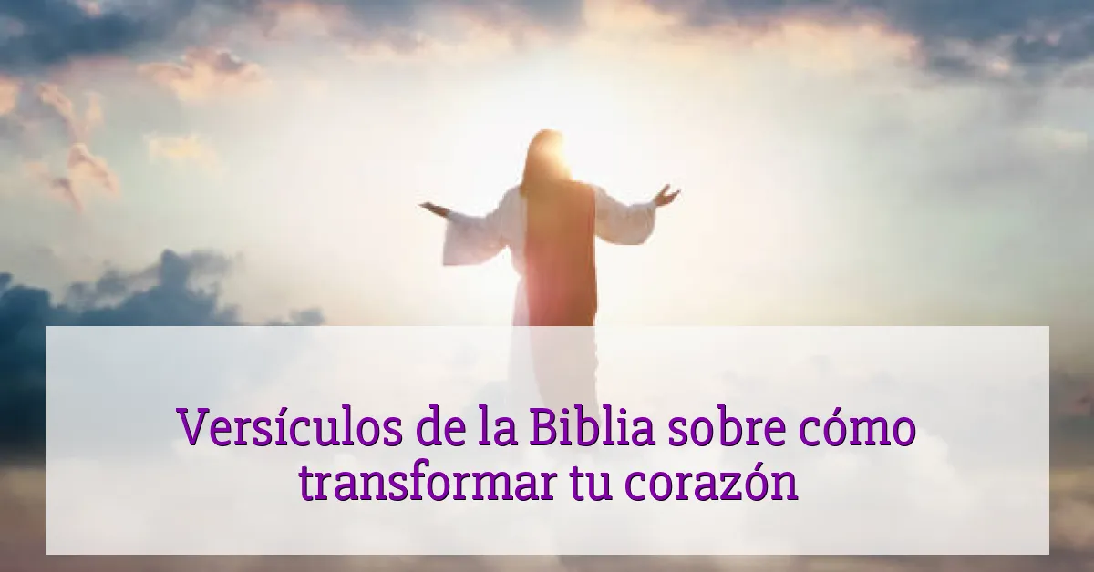 Versículos de la Biblia sobre cómo transformar tu corazón