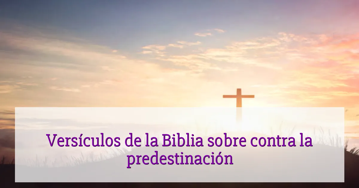 Versículos de la Biblia sobre contra la predestinación
