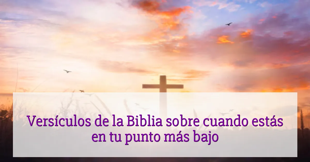 Versículos de la Biblia sobre cuando estás en tu punto más bajo