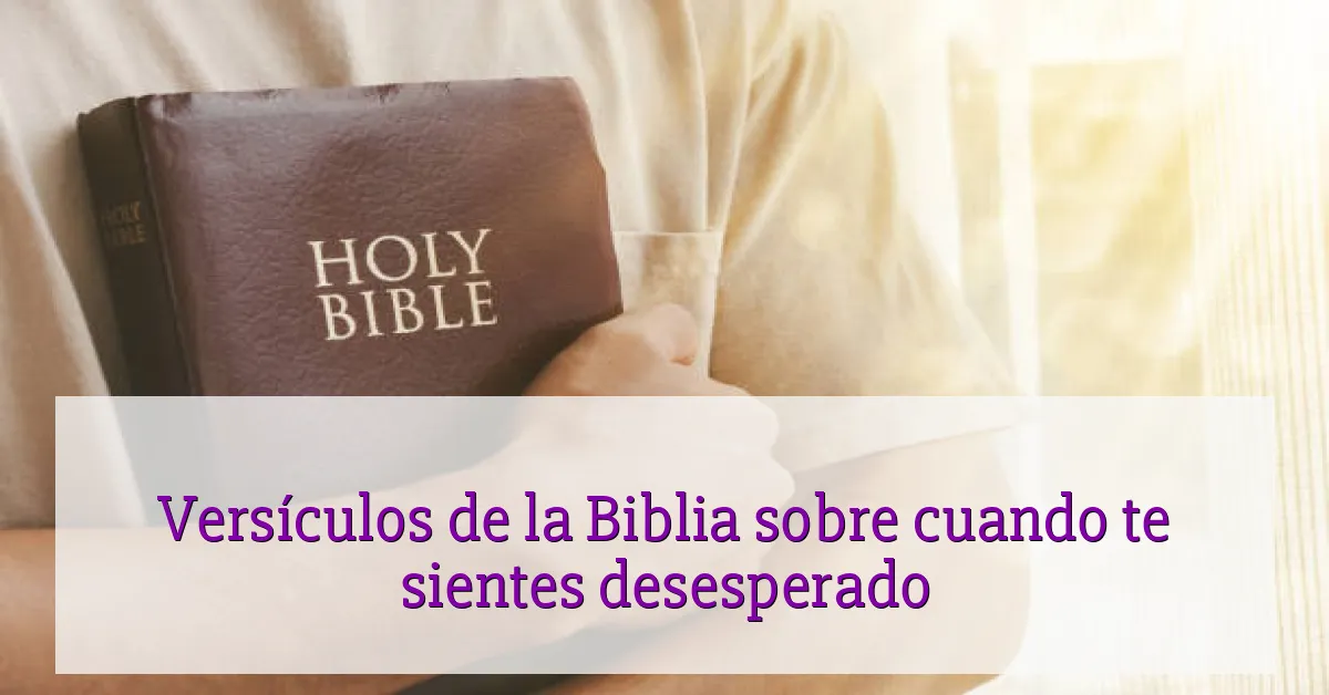Versículos de la Biblia sobre cuando te sientes desesperado