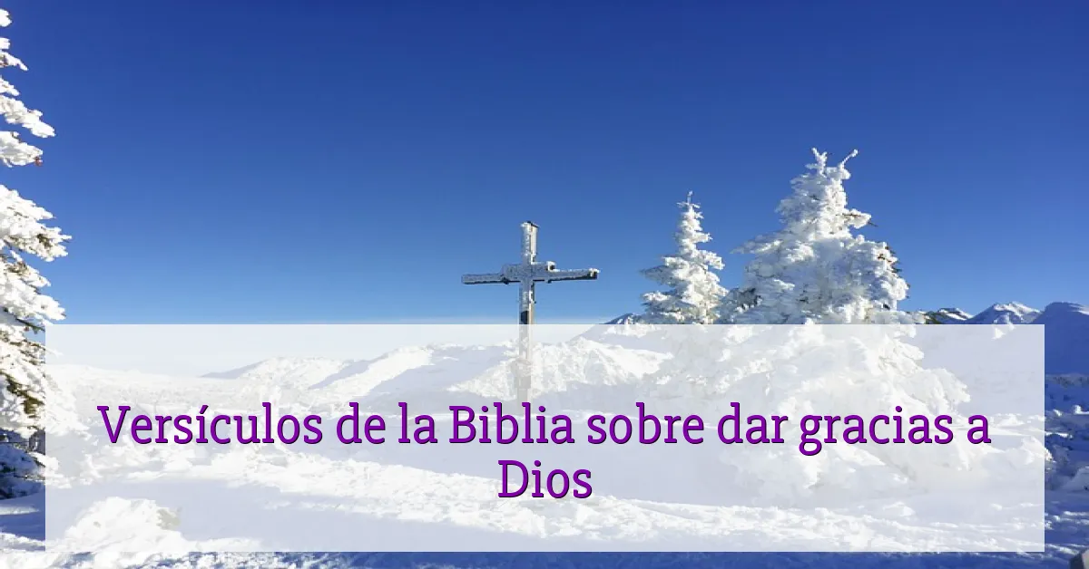 Versículos de la Biblia sobre dar gracias a Dios