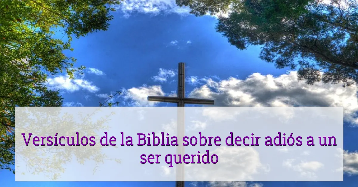 Versículos de la Biblia sobre decir adiós a un ser querido