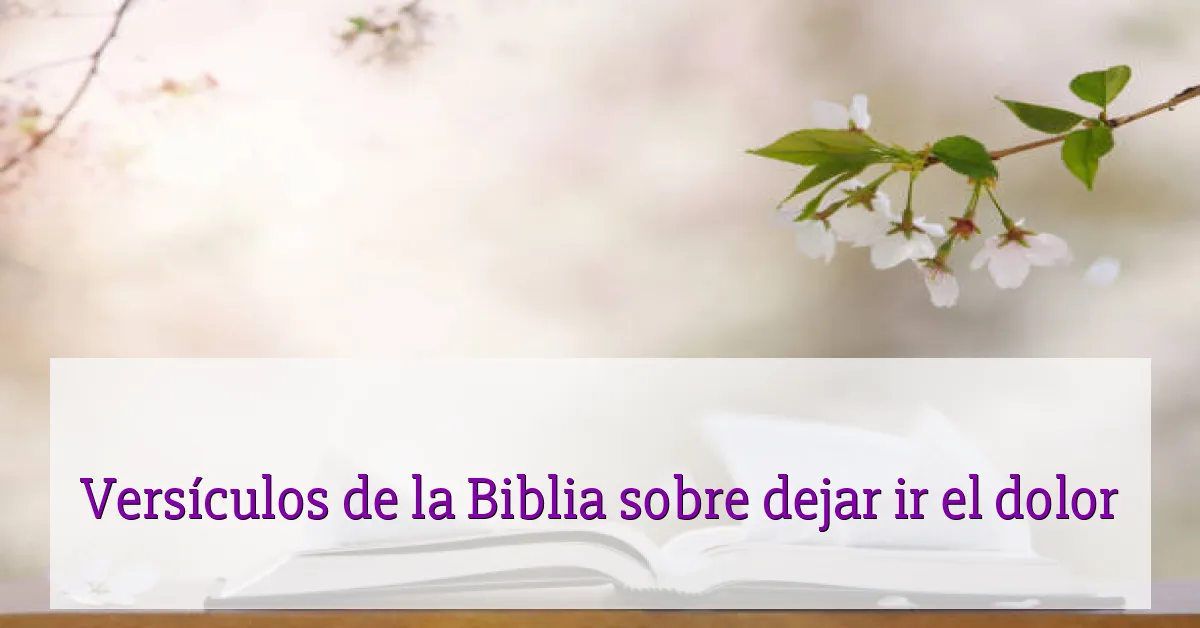Versículos de la Biblia sobre dejar ir el dolor