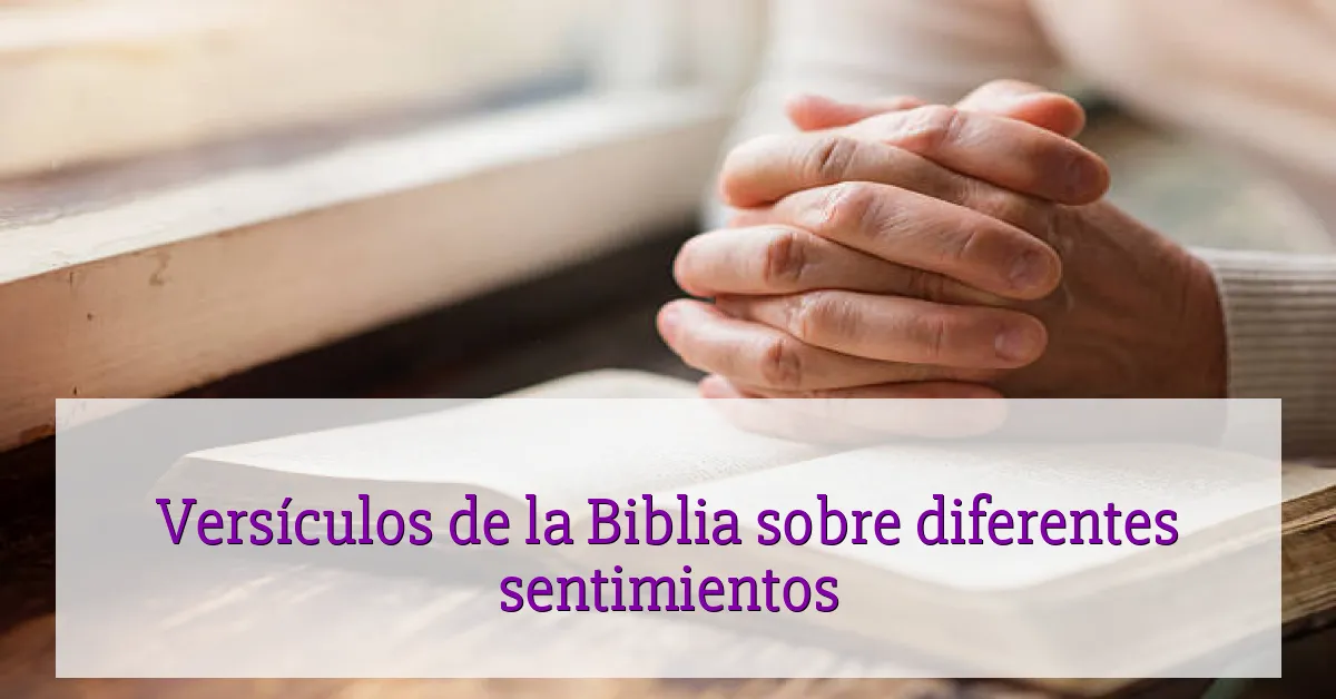Versículos de la Biblia sobre diferentes sentimientos