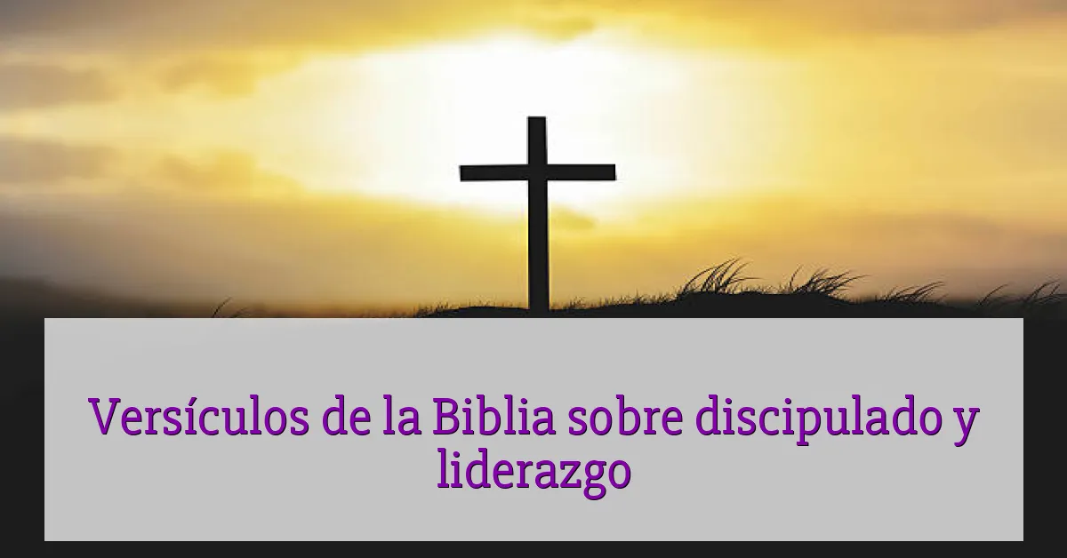 Versículos de la Biblia sobre discipulado y liderazgo