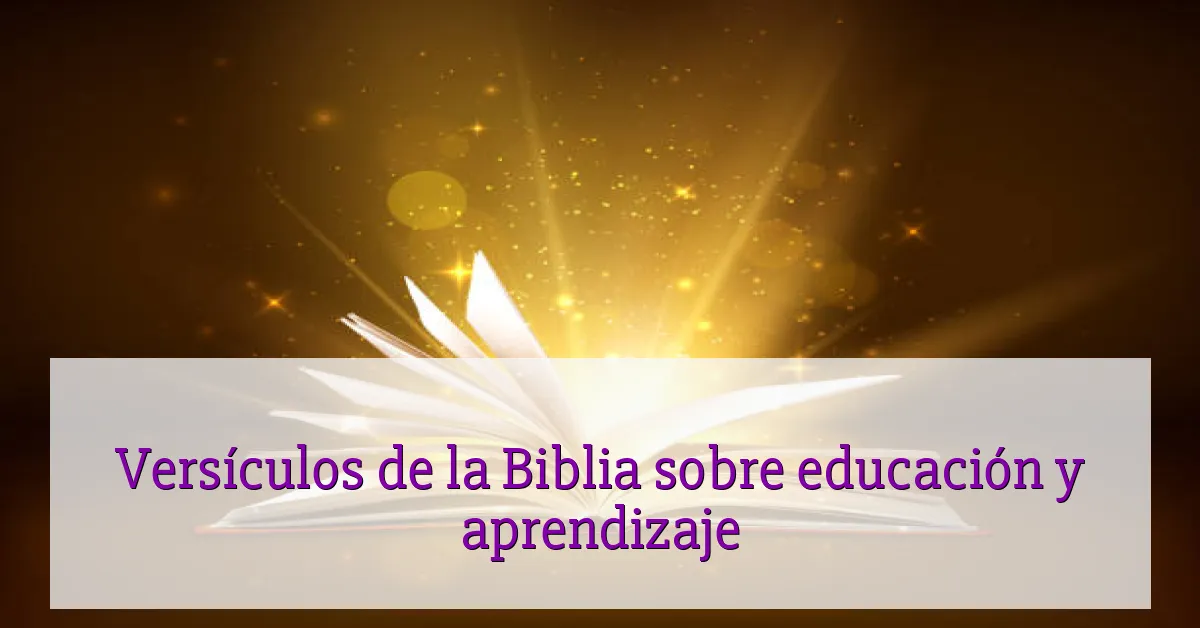 Versículos de la Biblia sobre educación y aprendizaje