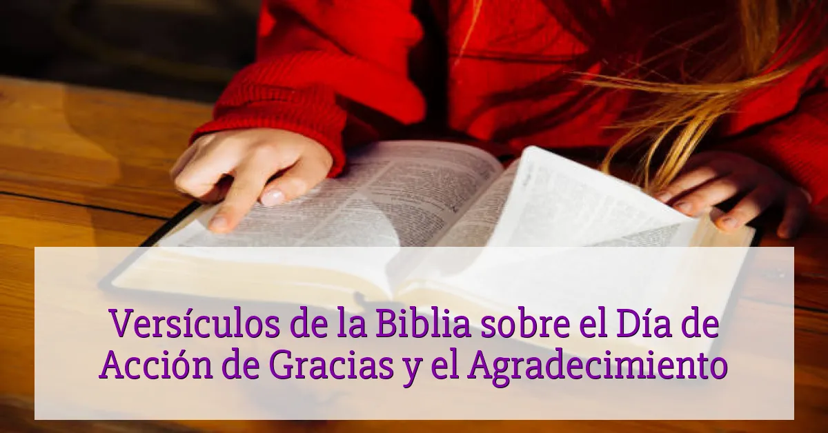 Versículos de la Biblia sobre el Día de Acción de Gracias y el Agradecimiento