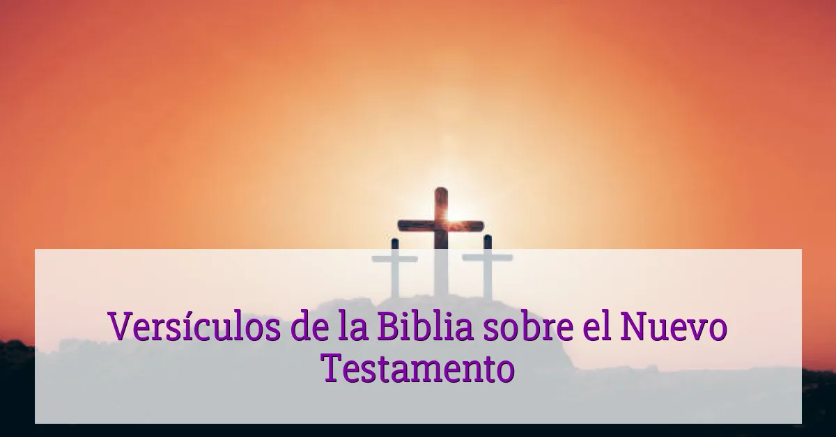 Versículos de la Biblia sobre el Nuevo Testamento