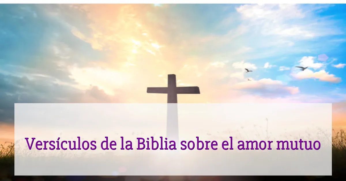 Versículos de la Biblia sobre el amor mutuo