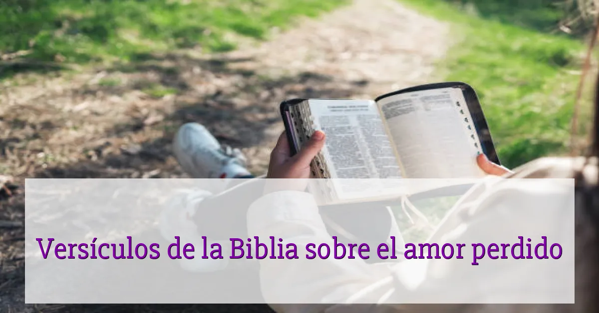 Versículos de la Biblia sobre el amor perdido