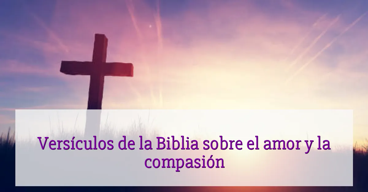 Versículos de la Biblia sobre el amor y la compasión