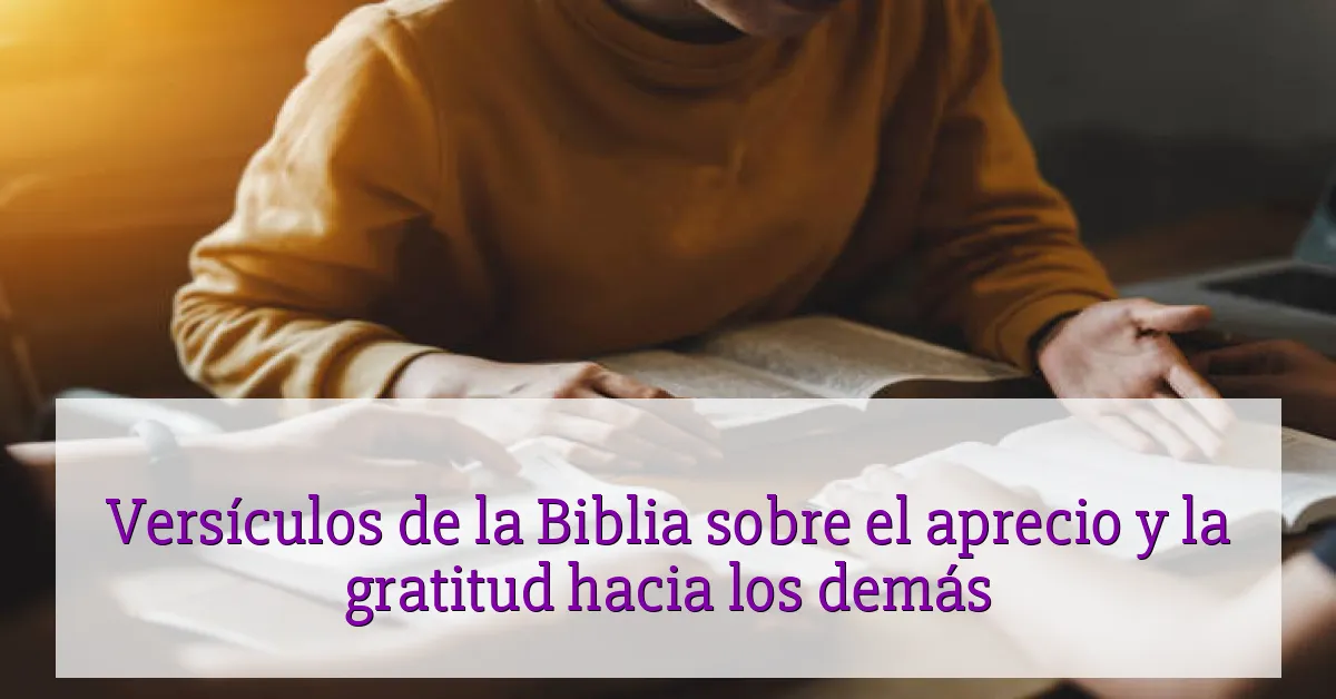 Versículos de la Biblia sobre el aprecio y la gratitud hacia los demás