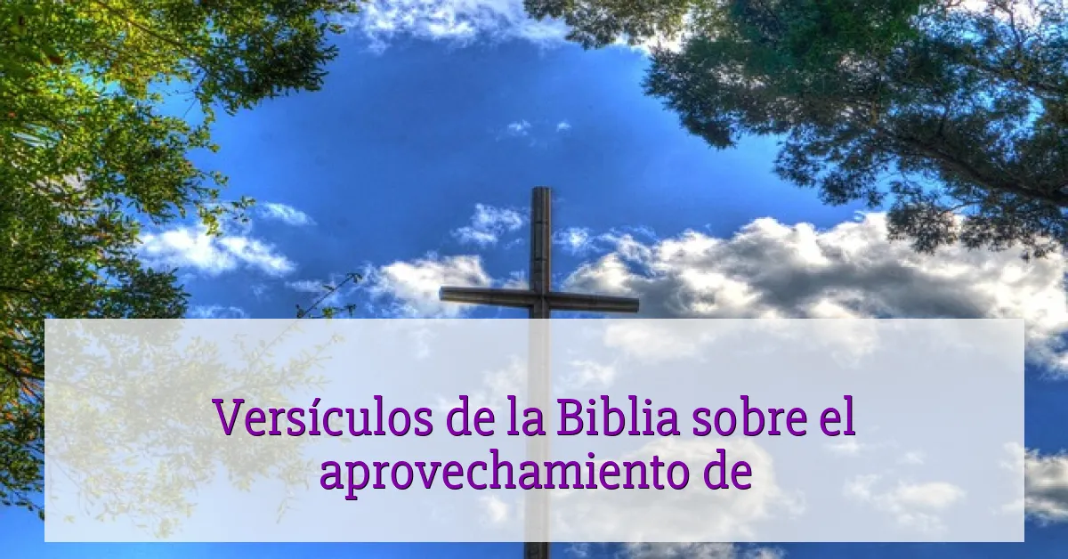 Versículos de la Biblia sobre el aprovechamiento de