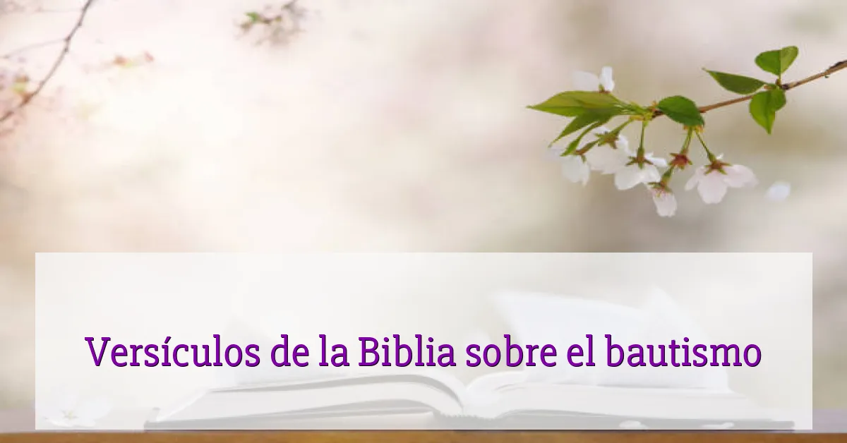 Versículos de la Biblia sobre el bautismo