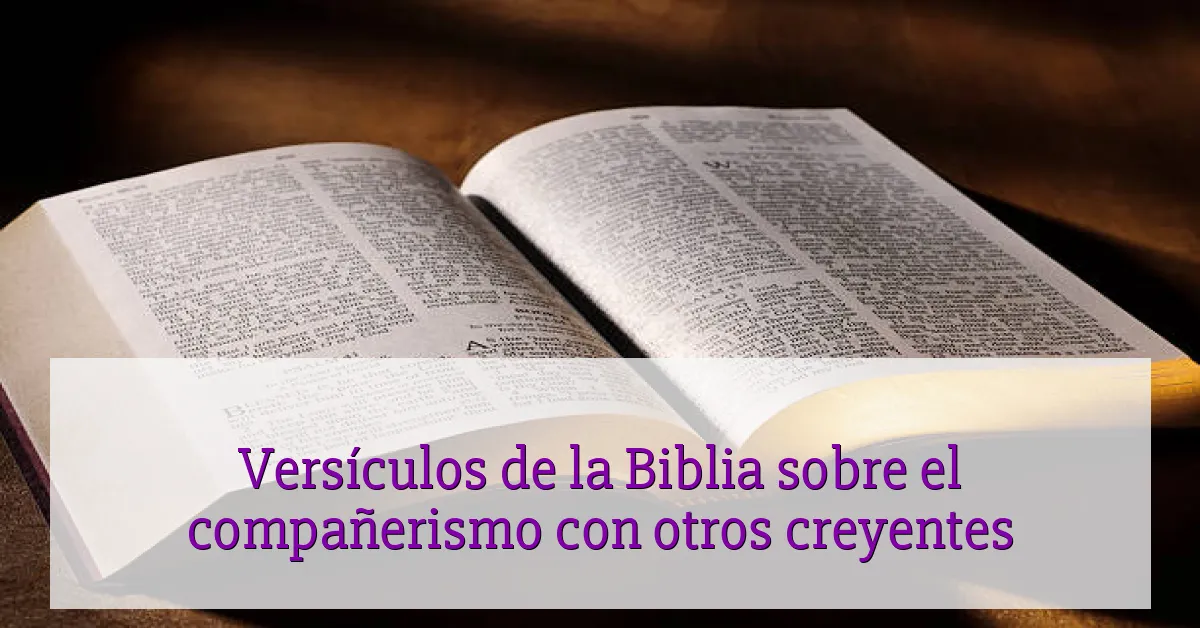 Versículos de la Biblia sobre el compañerismo con otros creyentes