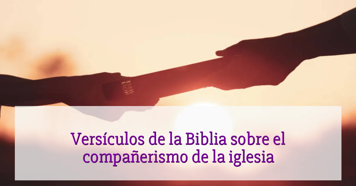 Versículos de la Biblia sobre el compañerismo de la iglesia
