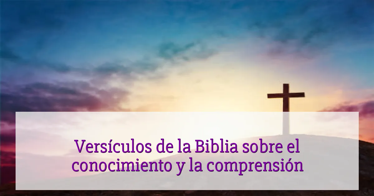 Versículos de la Biblia sobre el conocimiento y la comprensión