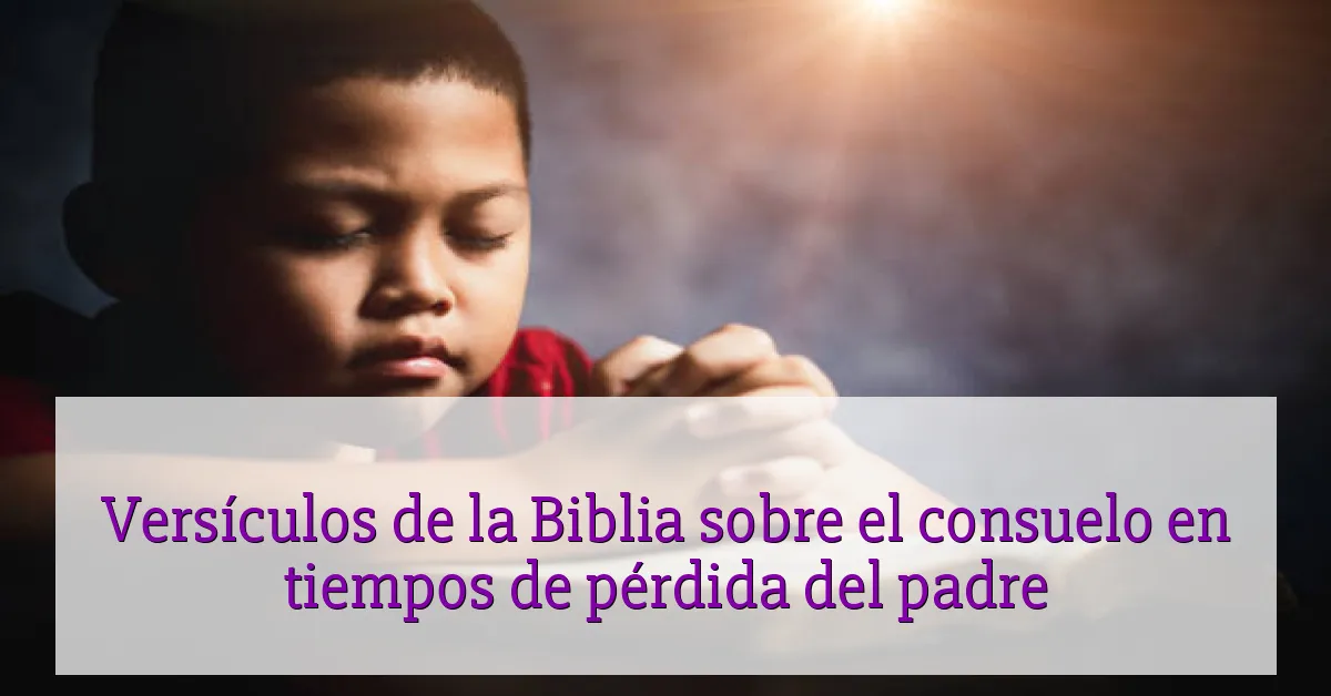 Versículos de la Biblia sobre el consuelo en tiempos de pérdida del padre
