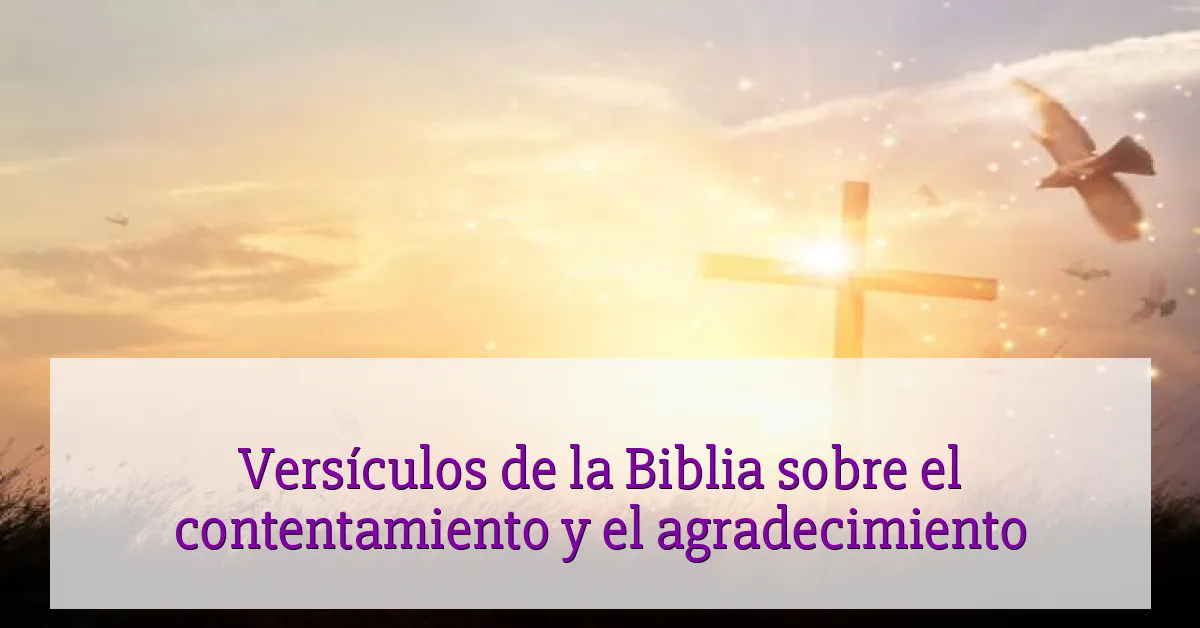 Versículos de la Biblia sobre el contentamiento y el agradecimiento