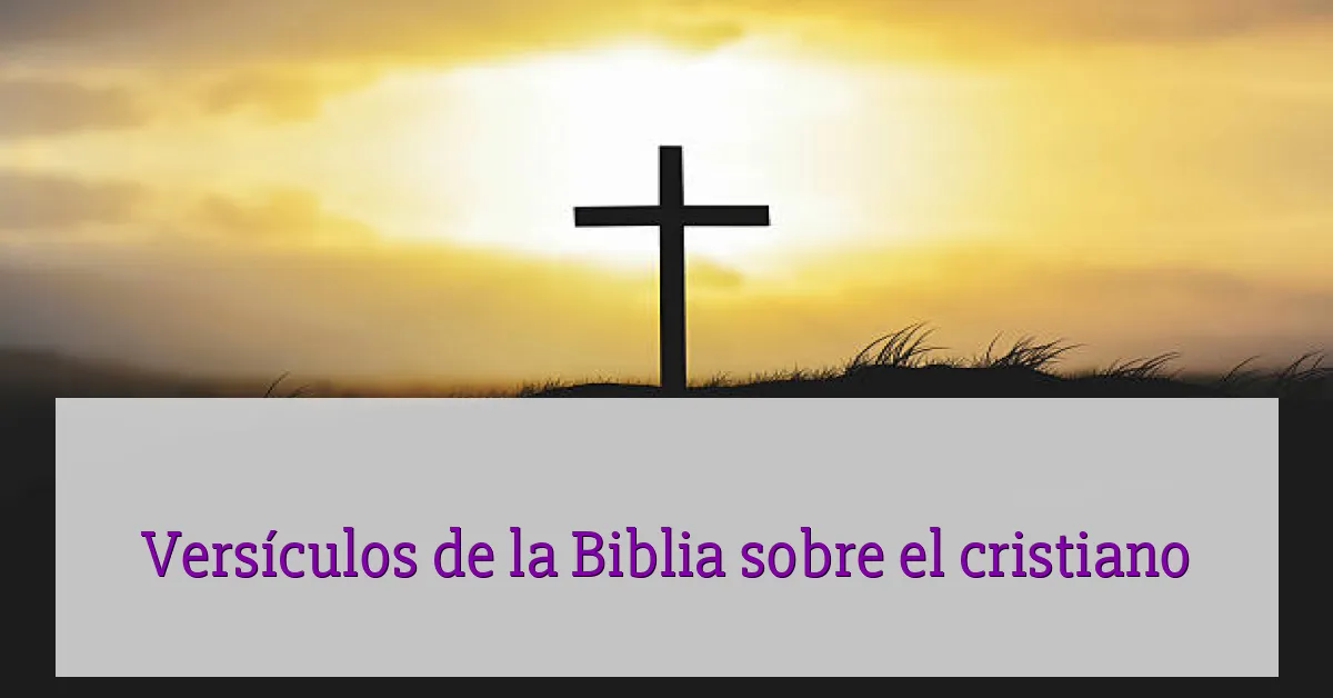 Versículos de la Biblia sobre el cristiano