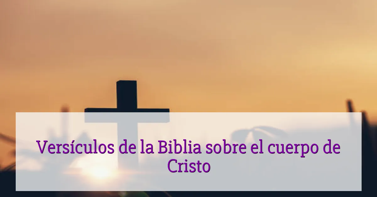 Versículos de la Biblia sobre el cuerpo de Cristo