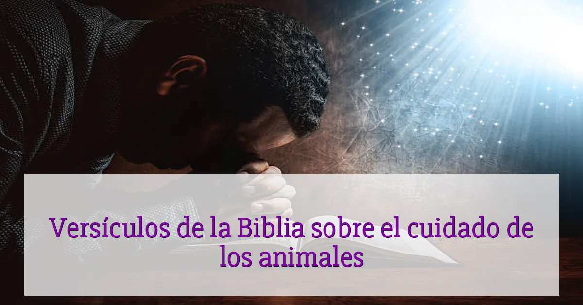 Versículos de la Biblia sobre el cuidado de los animales