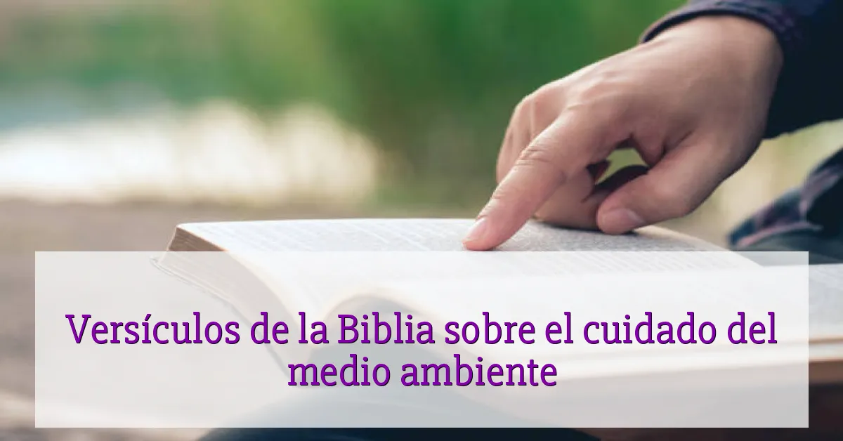 Versículos de la Biblia sobre el cuidado del medio ambiente