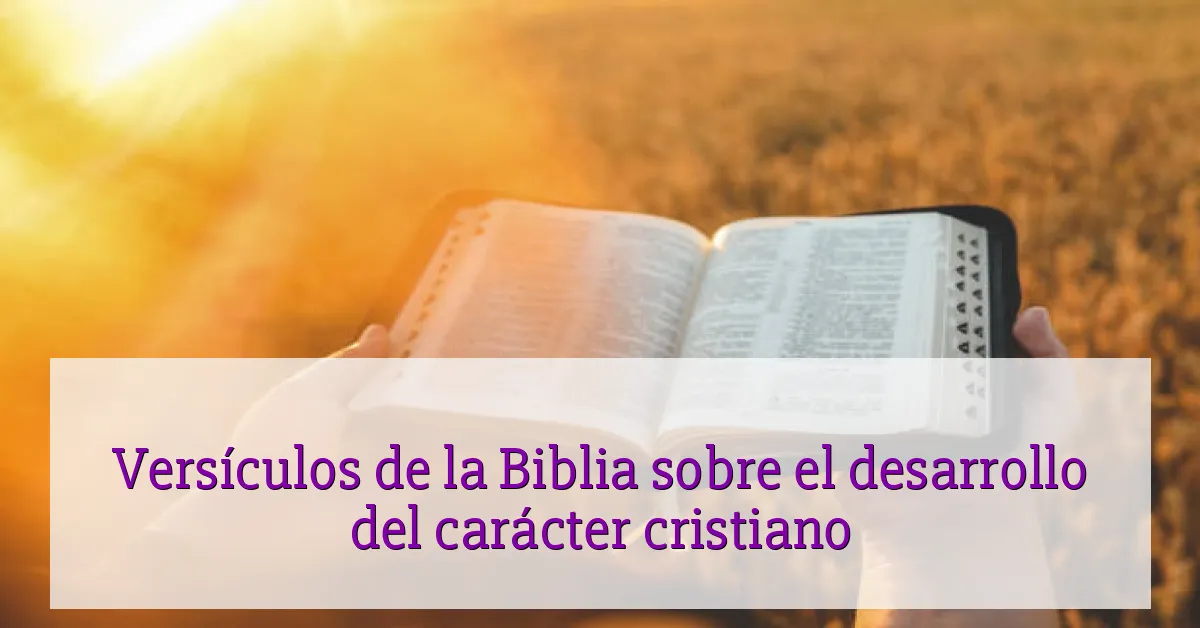 Versículos de la Biblia sobre el desarrollo del carácter cristiano