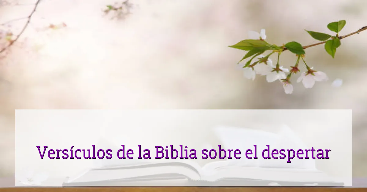 Versículos de la Biblia sobre el despertar