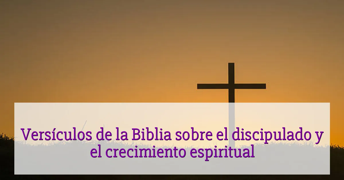 Versículos de la Biblia sobre el discipulado y el crecimiento espiritual