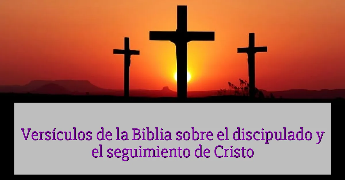 Versículos de la Biblia sobre el discipulado y el seguimiento de Cristo