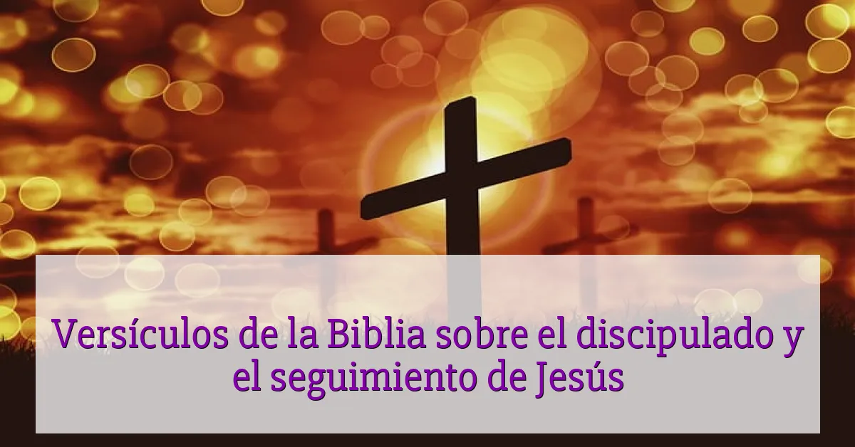 Versículos de la Biblia sobre el discipulado y el seguimiento de Jesús