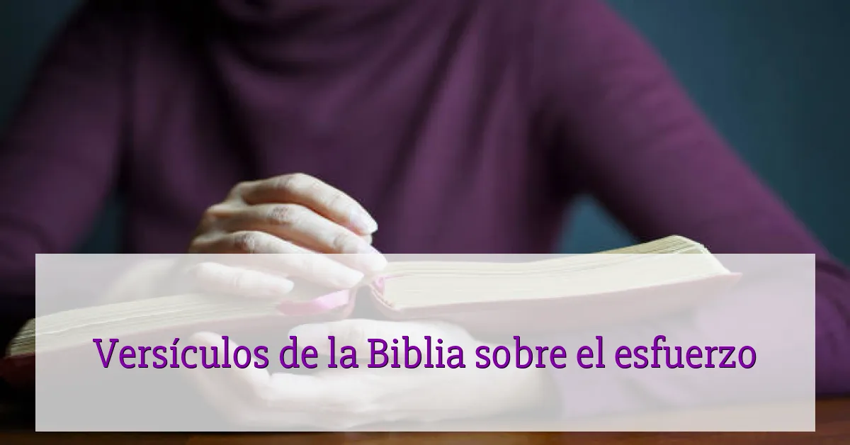 Versículos de la Biblia sobre el esfuerzo