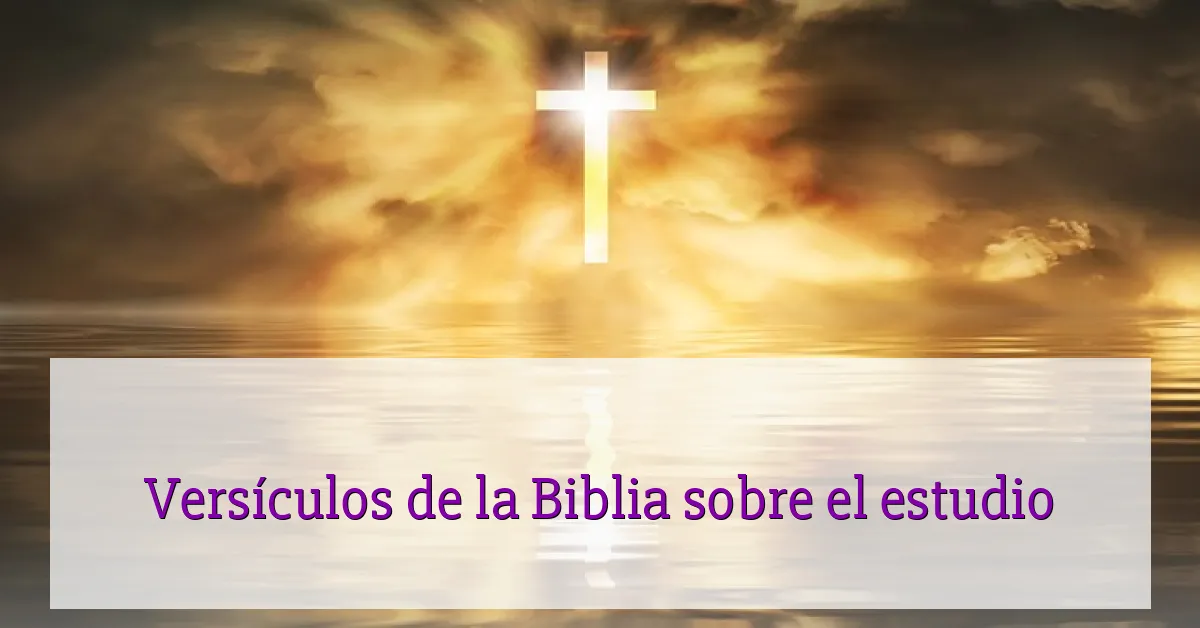 Versículos de la Biblia sobre el estudio